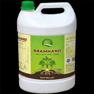 Bramhand - 5 Litres