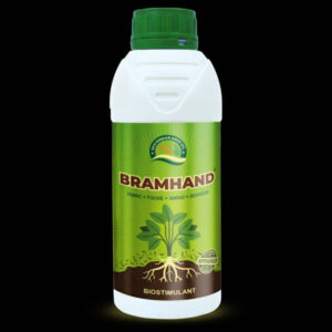 Bramhand