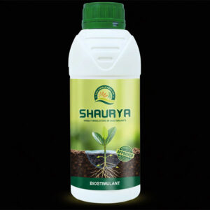 Shaurya - 1 Litre